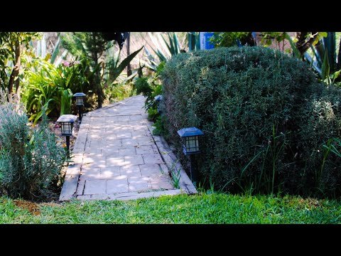 Crea un camino de piedra en tu jardín con adoquines: Un toque encantador y funcional