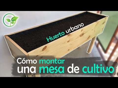 Construye una jardinera elevada con madera y tela de malla: Cultiva tus plantas sin agacharte