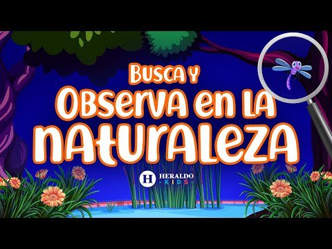 Explora la naturaleza: Bricolaje al aire libre para niños