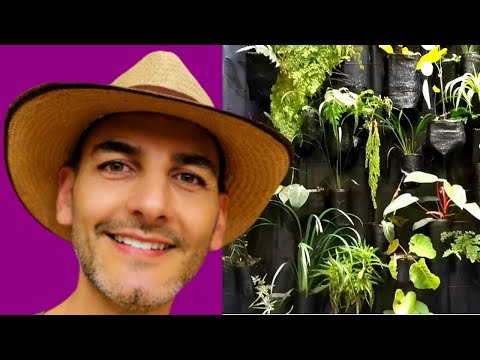 Crea un jardín vertical con palets: Aprovecha al máximo el espacio vertical y decora tus paredes