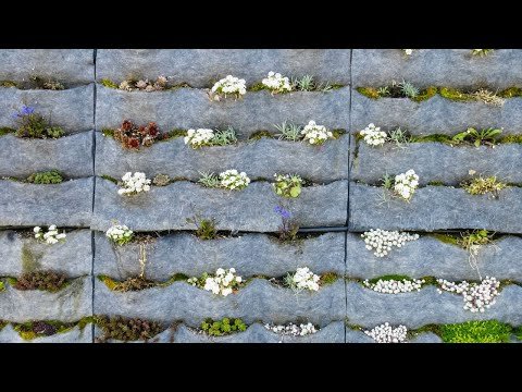 Construye un jardín vertical con sistema de riego automatizado: Crea un oasis verde en espacios reducidos