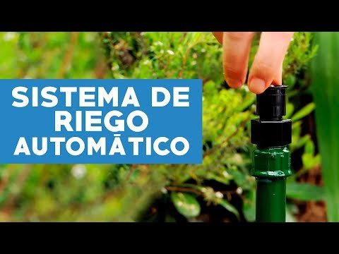 Automatiza tu jardín con sistemas de riego inteligentes: Proyectos DIY para un césped exuberante