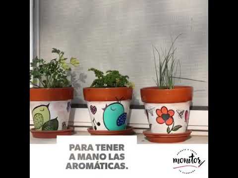 Renueva tus macetas con pintura en aerosol y patrones geométricos: Dale un toque de estilo a tus plantas