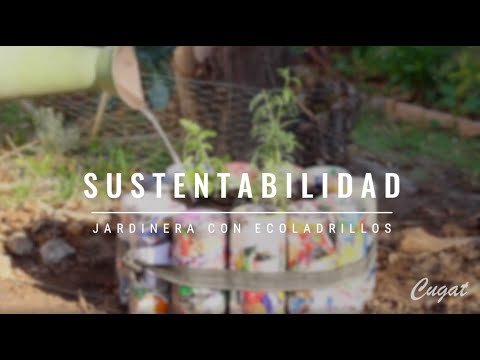 Proyectos de jardinería eco-friendly: Construye jardineras con botellas de plástico en colores llamativos y formas originales