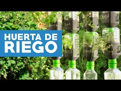 Huerto urbano para niños: Cómo hacer un jardín vertical con botellas reutilizadas