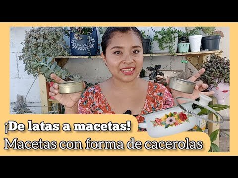 Jardín mágico: Construye un terrario con plantas suculentas y pequeños elementos decorativos