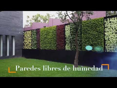 Crea un jardín vertical con botellas de vidrio en colores vibrantes y plantas suculentas