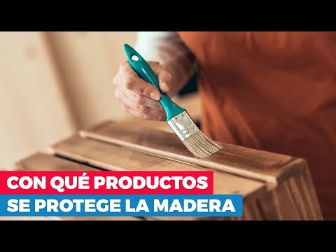 Protege tu madera: consejos para evitar la humedad