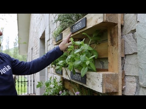 Proyectos de jardinería sostenible: Construye un huerto vertical con paletas de madera recicladas