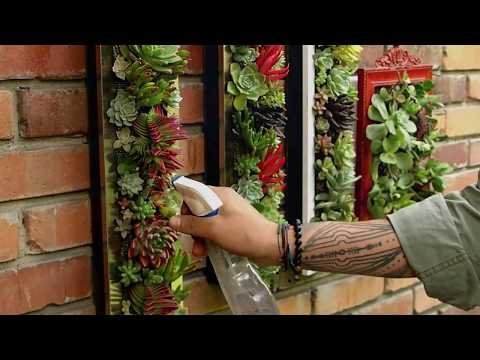 Crea un jardín vertical con paletas de madera pintadas en colores vivos y plantas suculentas