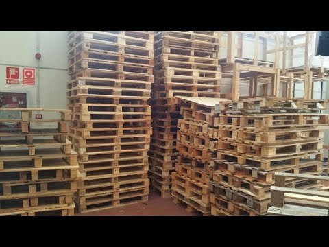 Proyecto de bricolaje para principiantes: Cómo construir una estantería de madera con materiales reciclados