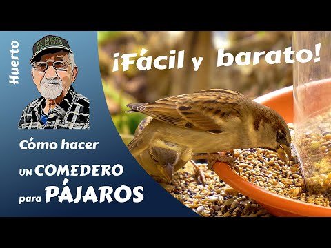 Crea un comedero para pájaros en 5 sencillos pasos