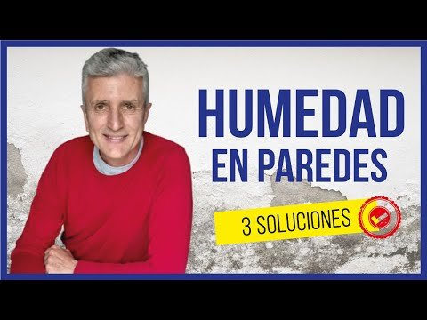 Elimina la humedad de tus paredes con estos trucos efectivos